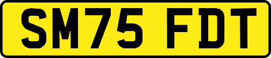 SM75FDT