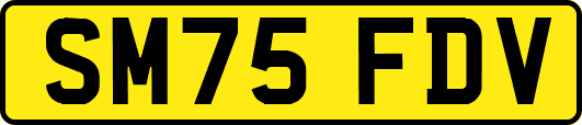 SM75FDV