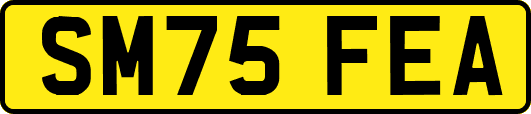 SM75FEA