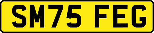 SM75FEG