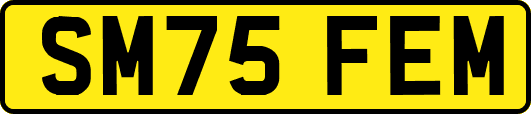 SM75FEM