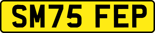 SM75FEP