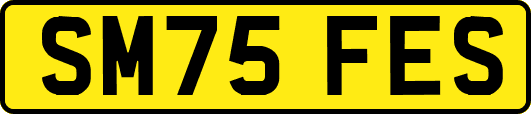 SM75FES