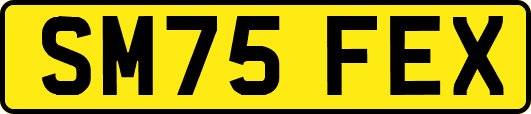 SM75FEX