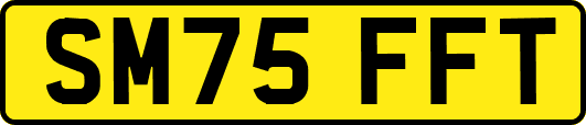 SM75FFT