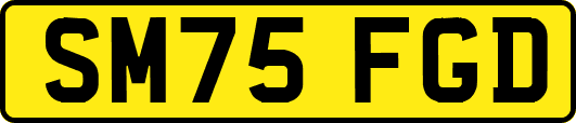 SM75FGD