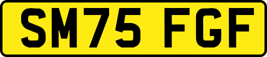 SM75FGF