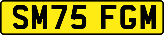 SM75FGM