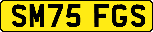 SM75FGS