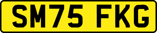 SM75FKG