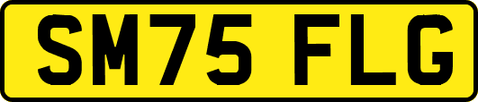 SM75FLG
