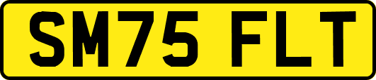 SM75FLT