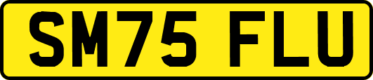 SM75FLU