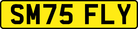 SM75FLY