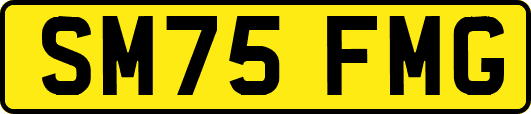SM75FMG