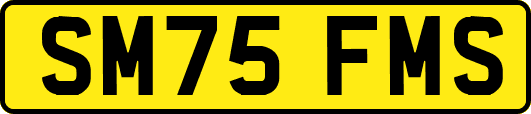 SM75FMS