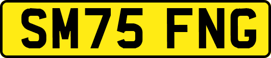 SM75FNG