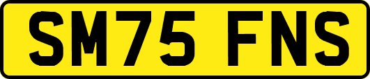 SM75FNS