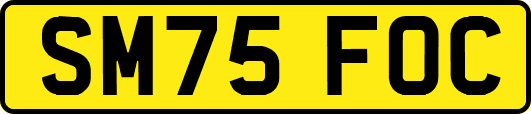 SM75FOC