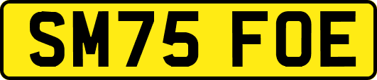 SM75FOE