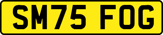 SM75FOG