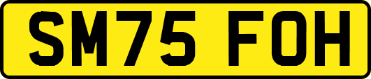 SM75FOH