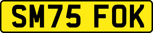 SM75FOK