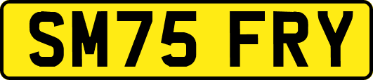 SM75FRY