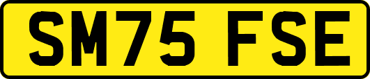 SM75FSE