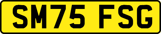 SM75FSG