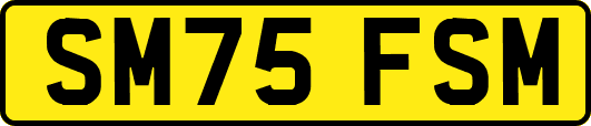 SM75FSM