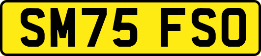 SM75FSO