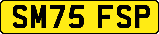 SM75FSP