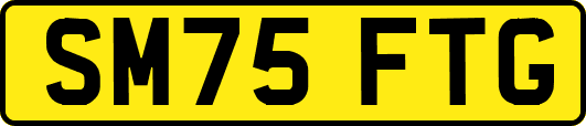 SM75FTG