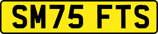 SM75FTS