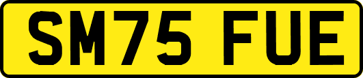 SM75FUE