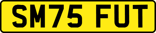 SM75FUT