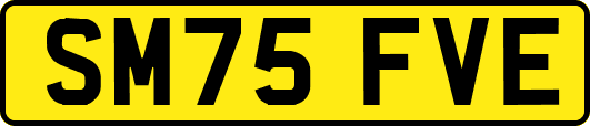 SM75FVE
