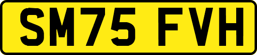 SM75FVH