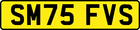 SM75FVS