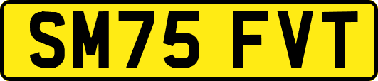 SM75FVT