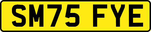 SM75FYE