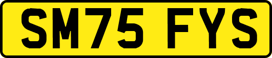 SM75FYS