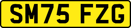 SM75FZG