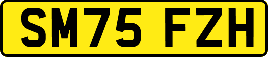 SM75FZH