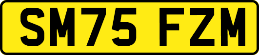 SM75FZM