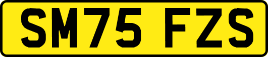 SM75FZS