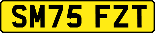 SM75FZT