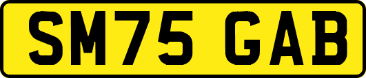 SM75GAB