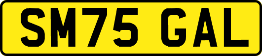 SM75GAL